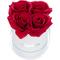 Bouquet di Rose Rotondo, 4 Rose, Bianco, Resistente 10 Anni, Idea Regalo, Box Decorativo, rosse