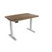 Inbox Zero Lift it Electric Height Adjustable Standing Desk Wood/Metal in Brown/Gray | 48 W x 30 D in | Wayfair F6E1D3F5393F4104A36C792904C45705