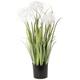 Hollyone 70CM Artificial Plant White Dandelion Grass, Plastic Plants Grass Tall Fake Plant, Large Decorative Faux Plants for Indoor Outdoor Home, Living Room, Kitchen, Office Decoration