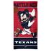 WinCraft Houston Texans 30'' x 60'' Disney Spectra Beach Towel