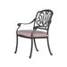 26 Inch Arbor Metal Outdoor Dining Armchair with Cushion, Sand Brown