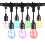 Bulbrite Solana 36-ft Outdoor Smart LED 18 - Bulb Standard String Light (End to End Connectable) in Black | 432 W in | Wayfair 814361