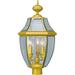Rosdorf Park Faithrich Polished Solid Brass 1 -Light 23" H Hardwired Lantern Head Brass/Metal in Yellow | 23 H x 12.5 W x 12.5 D in | Wayfair
