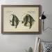 Rosecliff Heights Bloch Antique Fish I - Picture Frame Graphic Art on Canvas Canvas, Solid Wood in Black/Blue/Green | 16 H x 20 W x 2.5 D in | Wayfair