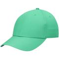 Men's Nike Golf Green Legacy91 Performance Adjustable Hat