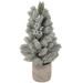 Northlight Seasonal 16" LED Lighted Mini Frosted Pine Christmas Tree in Cement Base Resin/Plastic/ in Green | 16 H x 6 W x 6 D in | Wayfair