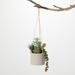 Sullivans Artificial Hanging Succulent In Pot 7"H Green - 7"H x 7"L x 5"W