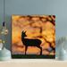 Loon Peak® Brown Deer On Green Grass During Daytime 78 - 1 Piece Square Graphic Art Print On Wrapped Canvas in Black/Orange | Wayfair