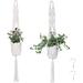 Dakota Fields Ahriella 2 Pieces Plant Hanger Set Coconut fiber | 38.19 H in | Wayfair E3B2255AFB224FAA9EA70C313C8B009B