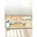 Tucker Murphy Pet™ Dog Kennel Summer Mat Dog Bed Sleeping Mat Removable Pet Mat Cotton in Green | 3.15 H x 19.69 W x 15.75 D in | Wayfair