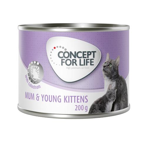 Concept for Life Mum & Young Kittens Mousse – 24 x 200 g