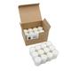 Stonebriar Unscented Long Clear Cup Tealight Candles, Extended Burn Time, White, Bulk, 48 Pack (8 Hour)