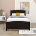 Harriet Bee Twin Size Platform Bed w/ Trundle Wood in Brown | 37 H x 41 W x 79 D in | Wayfair D963BA98DA204515BEDCFE73AFF07700