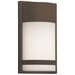 Paxton LED Outdoor Sconce - 12"- Textured Bronze