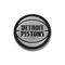 WinCraft Detroit Pistons Team Chrome Car Emblem