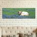 Ebern Designs Panoramic Texas Longhorn Cow Sitting On A FieldHill County, Texas, USA - Gallery-Wrapped Canvas Giclee Print Canvas | Wayfair