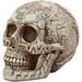 The Holiday Aisle® Crystopher Aztec Gods Skull Figurine Resin in Brown | 6.75 H x 5.5 W x 5.5 D in | Wayfair DE3BC1122CB04447B52474A5E89B5CB3
