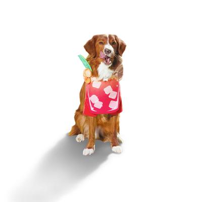 Bloody Mary Dog & Cat Costume, 3X-Large, Multi-Color