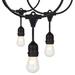 Arlmont & Co. Kendron 24Ft - Incandescent String Light - Includes 12-S14 Bulbs - 120 Volts in Black | 3.5 H x 288 W in | Wayfair