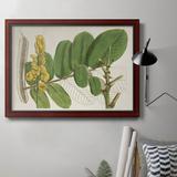 Rosalind Wheeler Tropical Foliage & Fruit II - Picture Frame Graphic Art on Canvas Canvas, in Green/Yellow | 18 H x 27 W x 2.5 D in | Wayfair