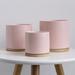 Latitude Run® Zelal 2-Piece 4.5" Ceramic Pot Planter Set Ceramic in Pink | 4.5 H x 4.5 W x 4.5 D in | Wayfair 285D413E931A48A287926CD2CFF86A2E