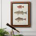 Rosecliff Heights Species Of Antique Fish II Premium Framed Canvas- Ready To Hang Canvas, Solid Wood in Gray/Red | 20 H x 16 W x 2.5 D in | Wayfair