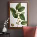 Red Barrel Studio® Cherry Fig Tree Premium Framed Canvas - Ready To Hang Canvas, Solid Wood in Green/Red/White | 20 H x 16 W x 2.5 D in | Wayfair