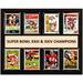 San Francisco 49ers Super Bowl XXII & XXIII Champions 12'' x 15'' Plaque