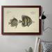 Rosecliff Heights Bloch Antique Fish III - Picture Frame Graphic Art on Canvas Canvas, Solid Wood in Blue/Brown | 16 H x 20 W x 2.5 D in | Wayfair