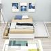 Isabelle & Max™ Dandir Full Size 2 Drawers Platform Bed w/ Trundle Wood in White | 15 H x 57 W x 79 D in | Wayfair 30BAFF5D88E947B8974ECD7B34D261E7