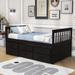 Harriet Bee Twin Storage Platform Bed w/ Trundle & Drawers Wood in Brown | 35 H x 43 W x 75 D in | Wayfair B0AE749E65F0489495F678D06CE48253