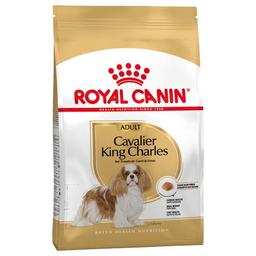 2 x 7,5 kg Cavalier King Charles Adult Großgebinde Royal Canin Hundefutter trocken