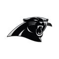 WinCraft Carolina Panthers Team Chrome Car Emblem