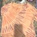 American Eagle Outfitters Tops | Brand New T-Shirt From American Eagle. | Color: Orange | Size: L