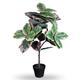 Blooming Artificial Plants Indoors in Pots, Faux Decorative Foliage, No Hassle, Easy Care, Perfect for Bringing Life to Indoor Spaces (Ficus Elastica) (Pink) (90cm)