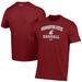 Men's Under Armour Crimson Washington State Cougars Baseball Performance T-Shirt