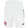 Würzburger Kickers Jako Auswärts Shorts WK4417A-00