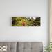 East Urban Home 'Japanese Tea Garden in Golden Gate Park, San Francisco, California' Photographic Print on Canvas in White | Wayfair