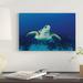 East Urban Home Hawksbill Sea Turtle by Amanda Nicholls - Wrapped Canvas Photograph Print Canvas in Blue | 8 H x 12 W x 0.75 D in | Wayfair
