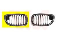 VAN WEZEL Kühlergitter 0653518 rechts für BMW Image