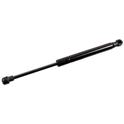 FEBI BILSTEIN Gasfeder, Koffer-/Laderaum beidseitig 640N für RENAULT 904514876R 47119 Image