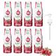 8 Pack - FruttaMax - Fruit Syrup Concentrate - Less Sugar - with 60% Fruit Content - Suitable for soda Machine (8x500ml) (8 x Pomegranate)