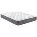 Twin 10" Hybrid Mattress - Crafted Sleep | 75 H x 38 W 10 D in Wayfair XCH2510BXT