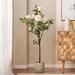 Primrue Artificial Flowering Tree in Free Standing | 61 H x 27.5 W x 21 D in | Wayfair A7DA498565F1400DBF197B3BB08BCDCC