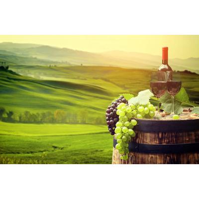 Fototapete PAPERMOON "WEINBAU-WEIN TRAUBEN FELD WIESE WEIN SONNE LANDSCHAFT", bunt, B:5,00m L:2,80m, Vlies, Tapeten