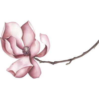 Wandtattoo QUEENCE "Sabrina", rosa, B:80cm, Folie, Wandtattoos, Wandbild, Sticker, rosa, Blume, Blüte, selbstklebend Image