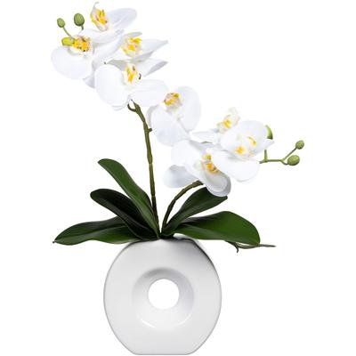 Kunstorchidee CREATIV GREEN "Phalaenopsis", weiß, H:35cm, Kunststoff, Kunstpflanzen, in Keramikvase Image