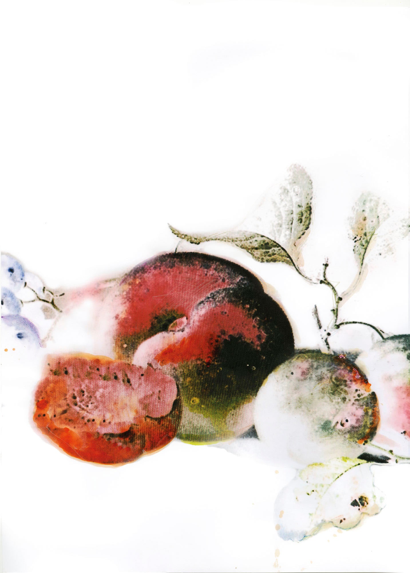 Bild KOMAR "Dessert Fruité", rot (farbe bild(er): rot), B:50cm H:70cm, Holz, Papier, Bilder, Wandbild zur Dekoration - ohne Rahmen Image
