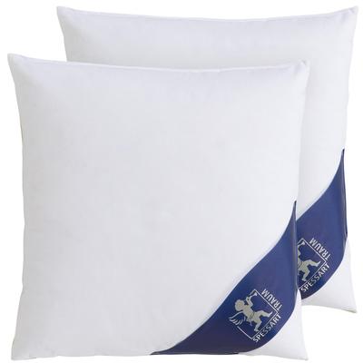 Daunenkissen SPESSARTTRAUM "Kissen-Set FIRST CLASS", weiß, B:40cm L:40cm, Bezug: 100% Baumwolle. Füllung: 90% Daunen, 10% Federn, Kopfkissen, Kopfkissen in verschiedenen Größen erhältlich, im Set günstiger Image