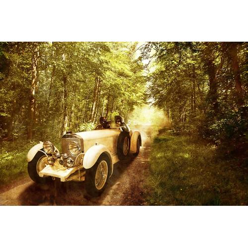 „PAPERMOON Fototapete „“Oldtimer in wald““ Tapeten Gr. B/L: 2,50 m x 1,86 m, Bahnen: 5 St., bunt Fototapeten“